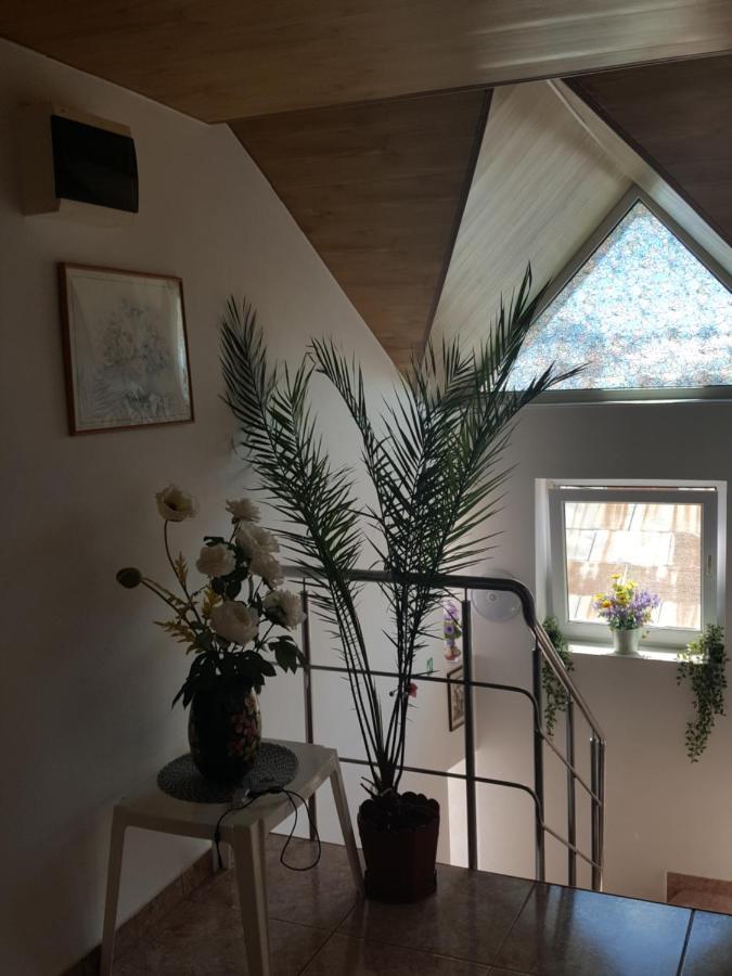 Vila Liz Eforie Nord 호텔 외부 사진