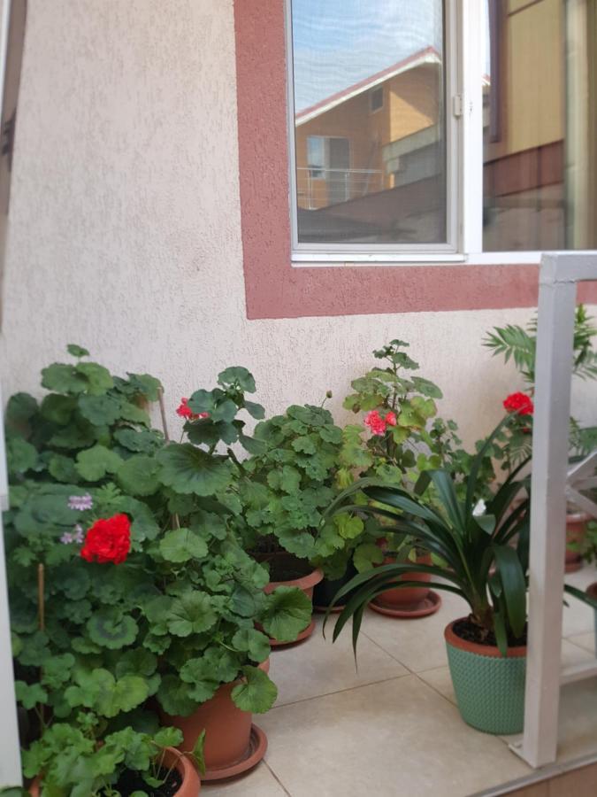 Vila Liz Eforie Nord 호텔 외부 사진